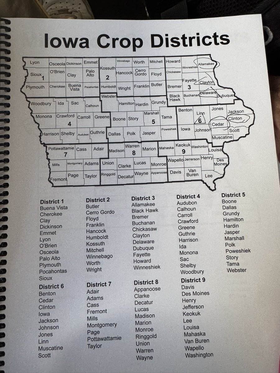 Maike Ye tweet media