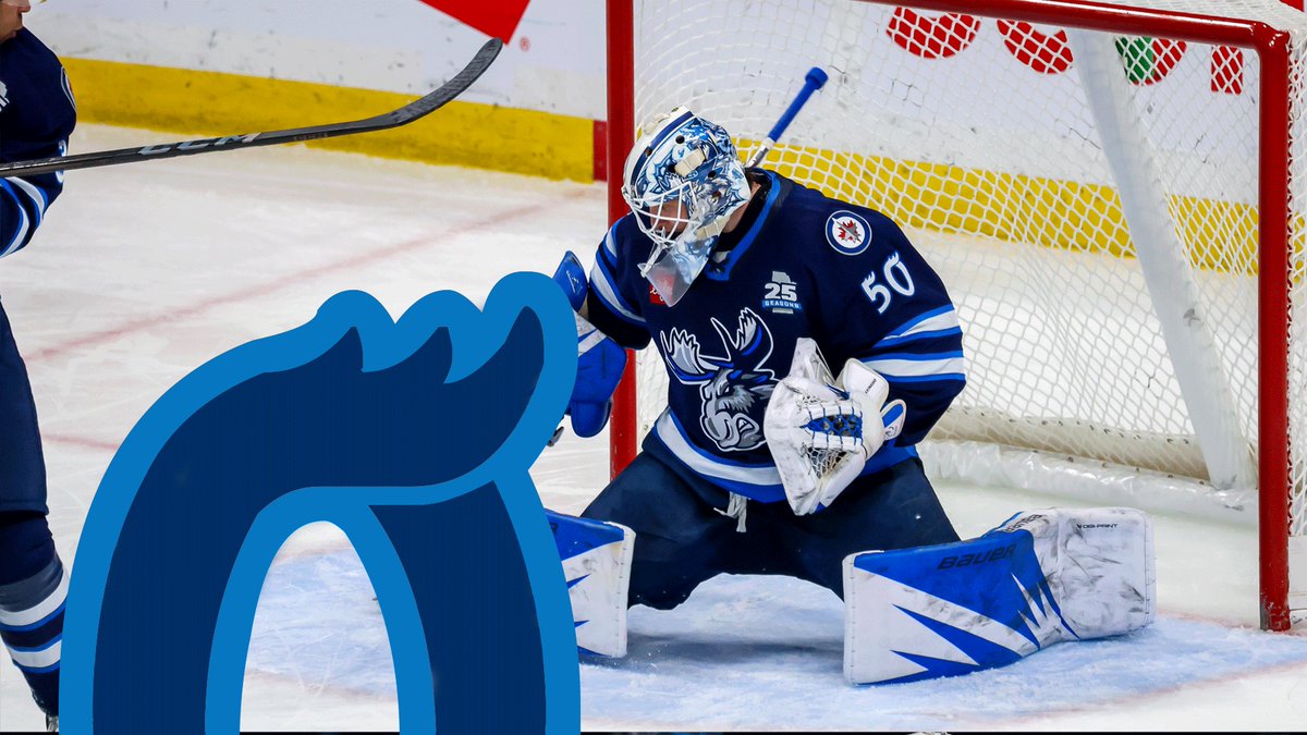 Manitoba Moose tweet media