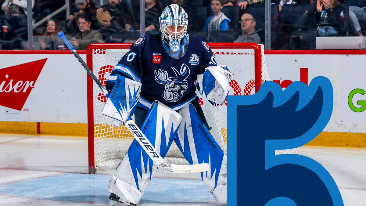 Manitoba Moose tweet media