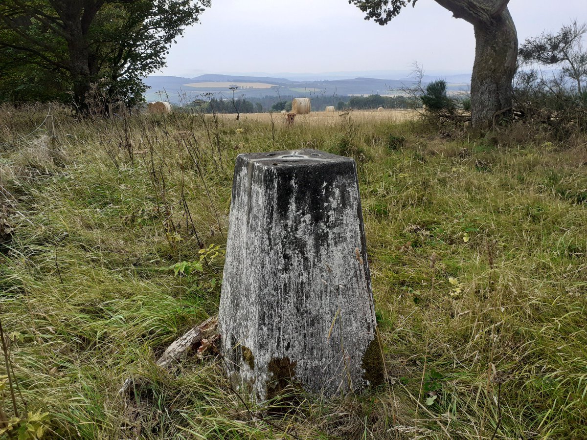 Steven Stratherrick (@stevenw24515280) on Twitter photo Triangulation is more my era than Satnav. #TrigPointThursday #trigpoint #Munlochy Triangulation is more my era than Satnav. #TrigPointThursday #trigpoint #Munlochy