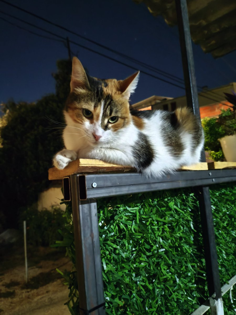 HumoroidM's tweet image. Always nice to see an old friend