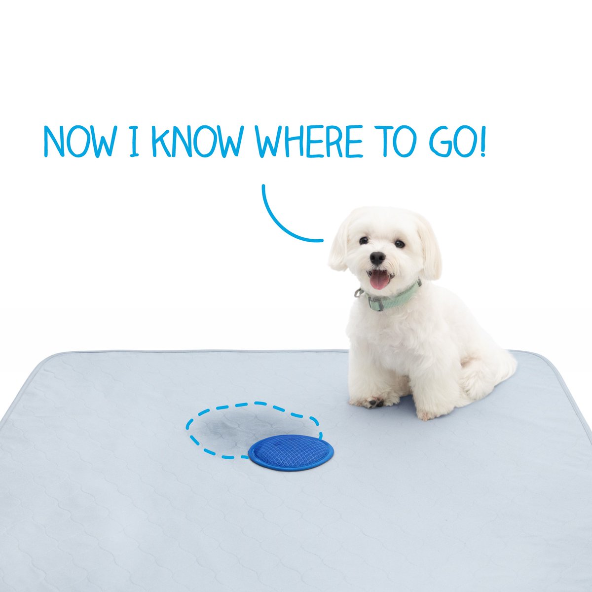 PawinspiredUS's tweet photo. 🐾 Meet the Paw Inspired Speed Spot Training Pad that helps your dog learn exactly where to “go" - just dab the patent-pending "Speed Spot" patch with your dog’s urine, and the pad will naturally attract them back to the right spot every time!
⁠
Shop Now: https://t.co/ENgjoLCtni https://t.co/dzr5LGCta1