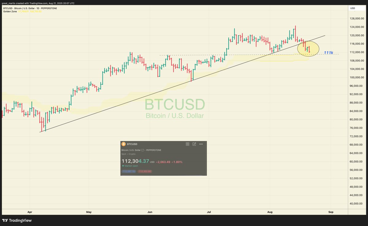 The Great Martis tweet media