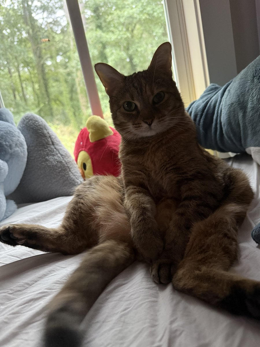 chuuper yuppers tweet media