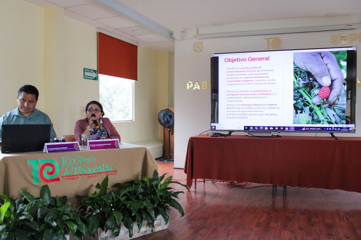 COLTLAX's tweet photo. #GaleríaColtlax📌
El día de hoy se llevó a cabo la presentación de resultados de la estancia posdoctoral de la doctora Reyna Concepción Xochipa Morante, adscrita al Centro de Estudios en Desarrollo Regional y Análisis Económico (CEDRAE). https://t.co/OogCo8CAN4