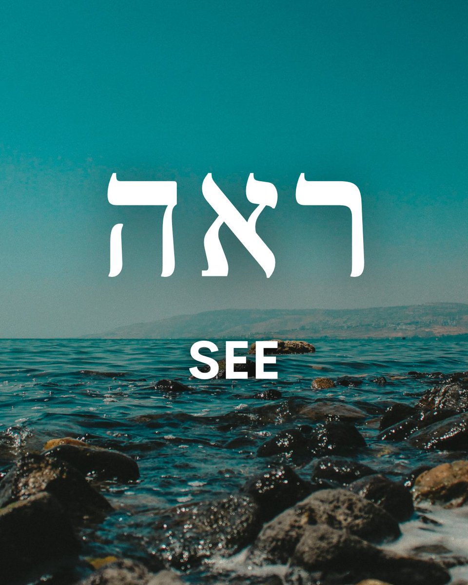 ChosenPeopleUSA's tweet photo. Check out our thoughts on this week's Torah portion!

#ChosenPeople #Torah #devotional #Messianic #Parashah #Parashat #Bible #Genesis #Reeh https://t.co/0ED1K3R0D5