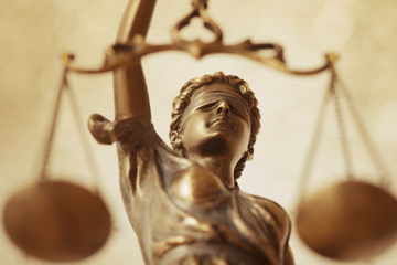 JunkSavvy tweet media