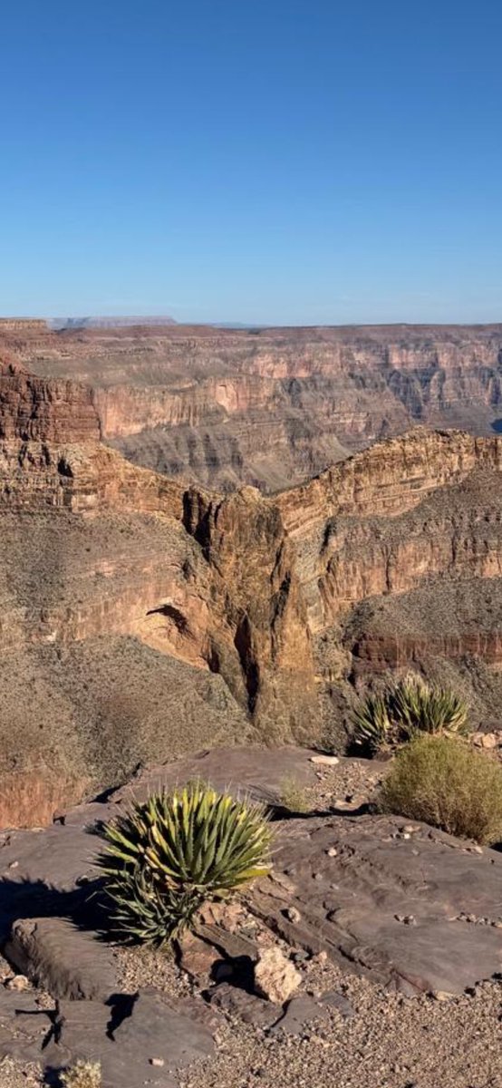My youngest sent these photos  to me.  She’s in The Grand Canyon. They say it’s an Eagle