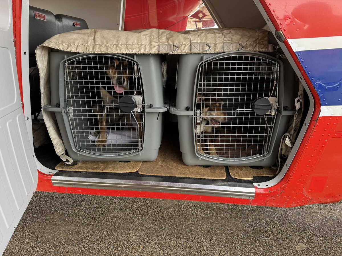 Air taxi to the big smoke today #falklands #brittennorman
