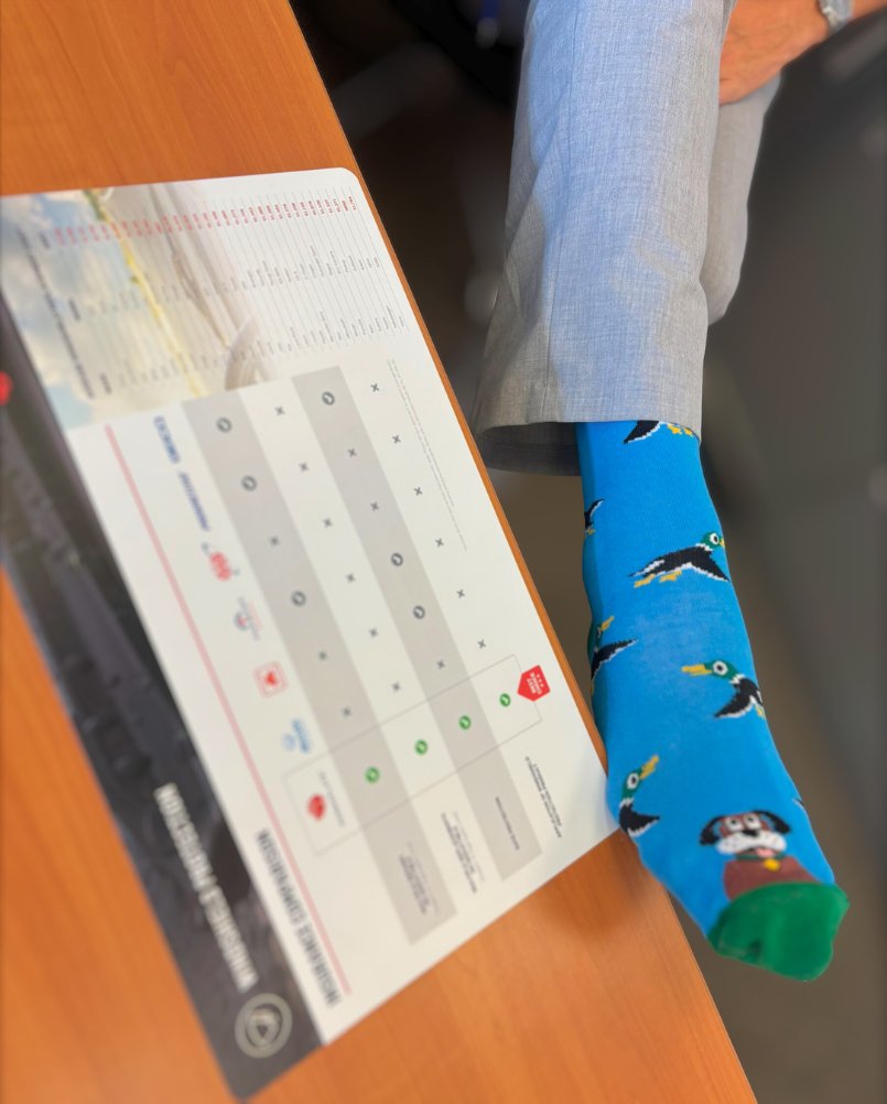 PROconsultngllc's tweet photo. Some days start with running shoes, others with roadside views or a good laugh over nostalgic socks, but all of them start with purpose.
We move fast, think big, and lead with energy and authenticity to support our dealer partners. 

Meet Your PRO Team: https://t.co/RLmqK6wiI0 https://t.co/cFCG4wzIKY