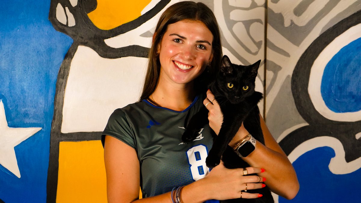 Javelina Volleyball tweet media