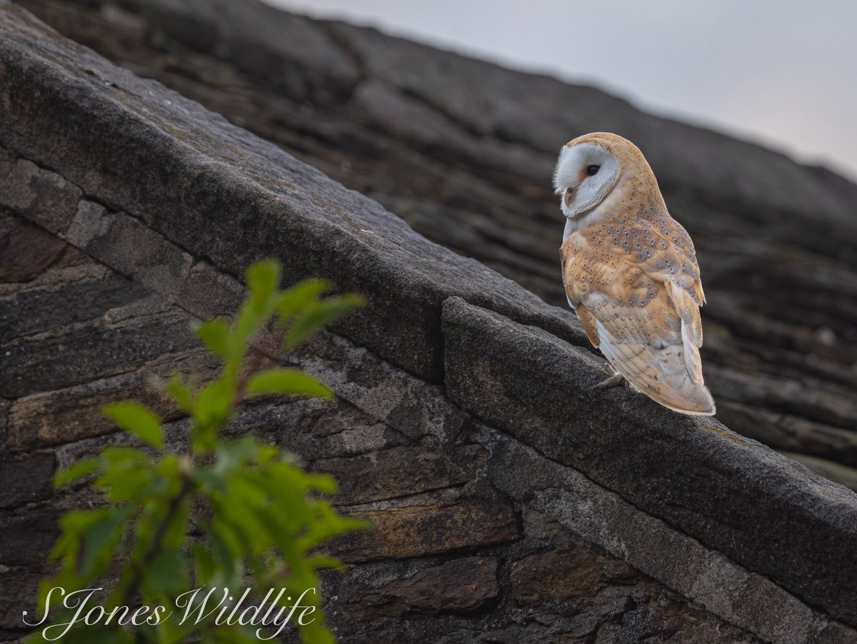 Another step to leave and go in the big wide world 
Going to miss them