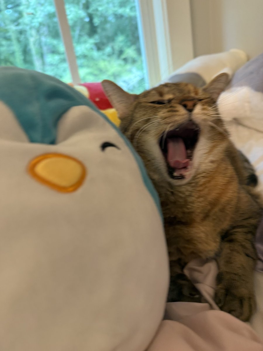 chuuper yuppers tweet media