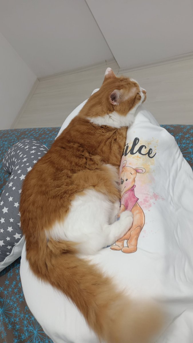 Mevsim yok artık yeni ismim Ülce var🤣