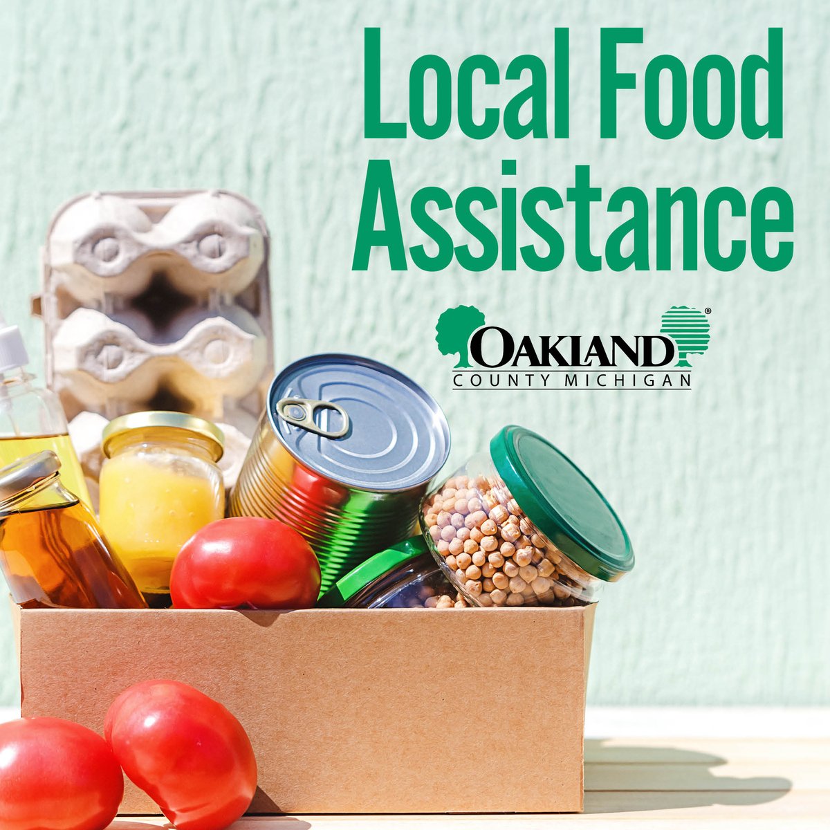 Food insecurity is an urgent issue facing many residents in #OaklandCounty, including our older adults. If you or someone you know needs help finding food, don’t hesitate to ask for assistance. Find resources in our Encore newsletter: ow.ly/Evx650WqPBX. #OaklandTogether
