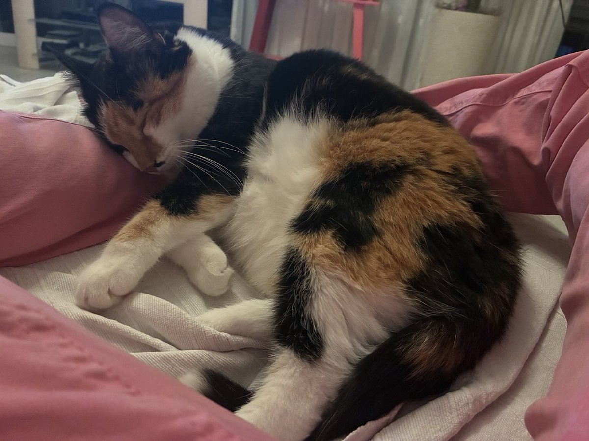 #Bella Meine Beine sind inzwischen taub - aber ich kann doch da nicht aufstehen 🥹🥰