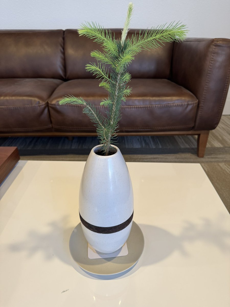 Passages International, Inc. tweet media