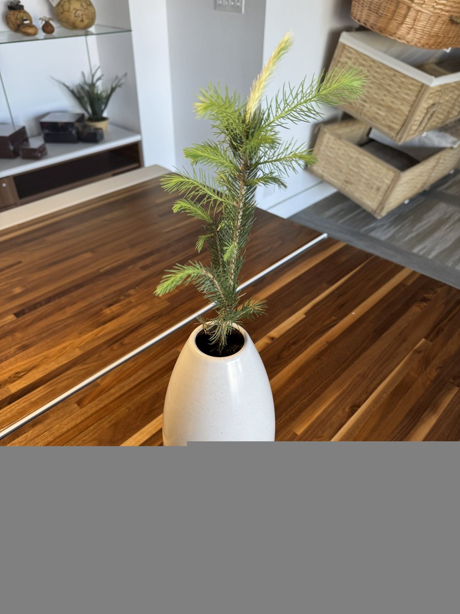 Passages International, Inc. tweet media