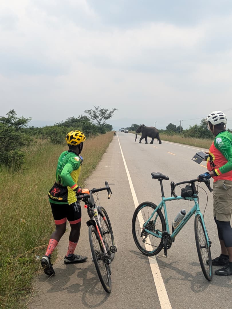 FunCyclingUg's tweet photo. Pedal to Kasese... Final Day..
Cycling through the National Park, Crossing Kazinga Channel, kikorongo Equator.... It was indeed breathtaking...

Enjoying UGANDA in style https://t.co/UKOxKF7ReH