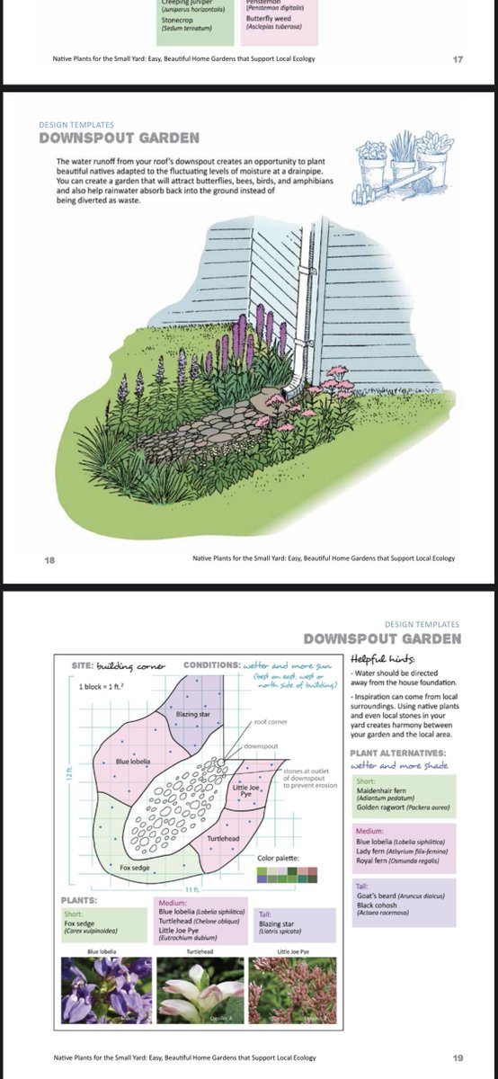 Landscape Architecture tweet media