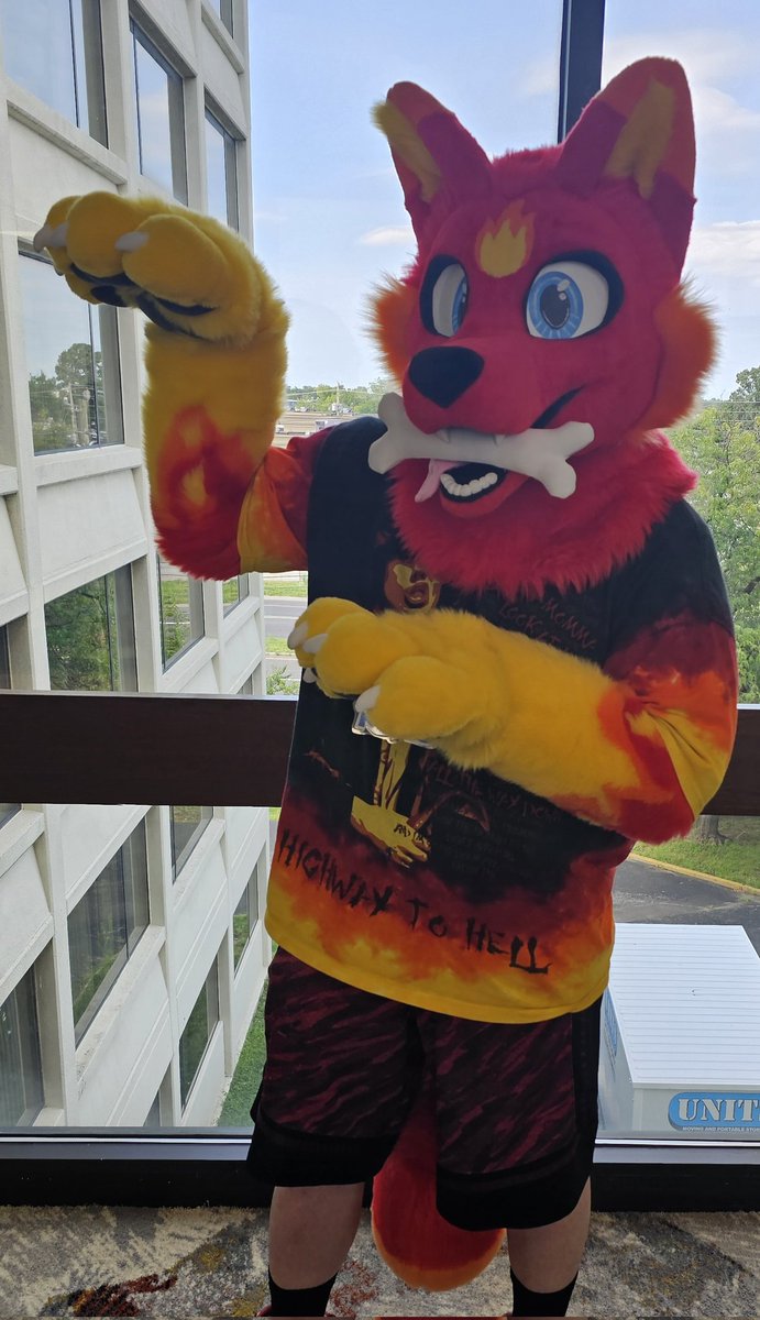 HopstitchStudio's tweet image. This fox had an amazing time debuting at IFC this year. I made my new paw pattern for this suit and also custom lined this head. I hope his owner has as much fun wearing him as I did making him!
