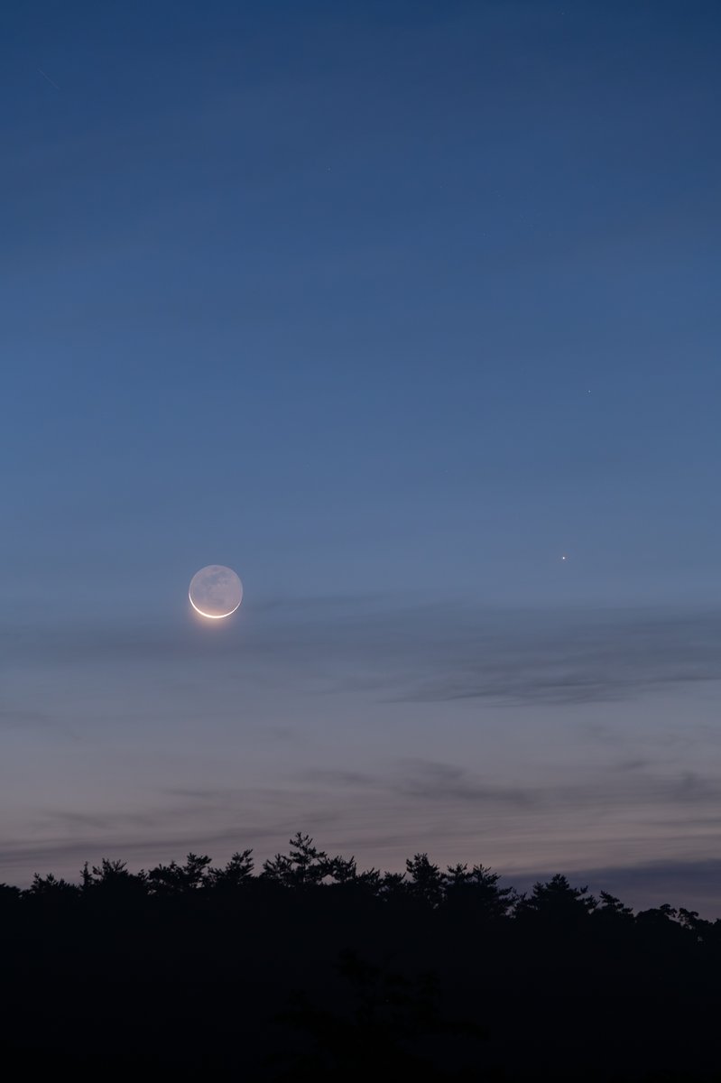 本日明け方に撮影した月と水星です。
細い月と水星が寄り添う姿を見ることができました。
写真右側に写っている星が水星です。
水星は見つけるのが難しい惑星ですが、今朝は月がいい目印になってくれました。