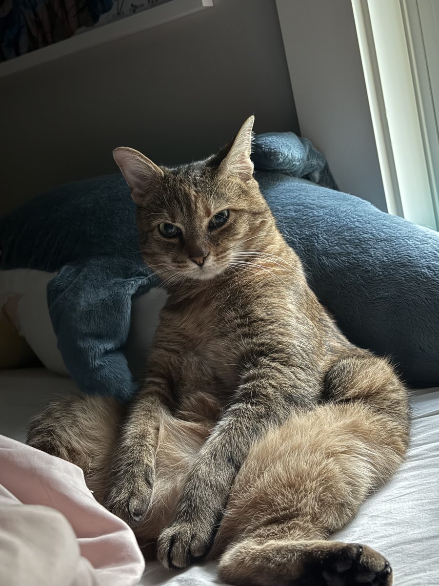 chuuper yuppers tweet media