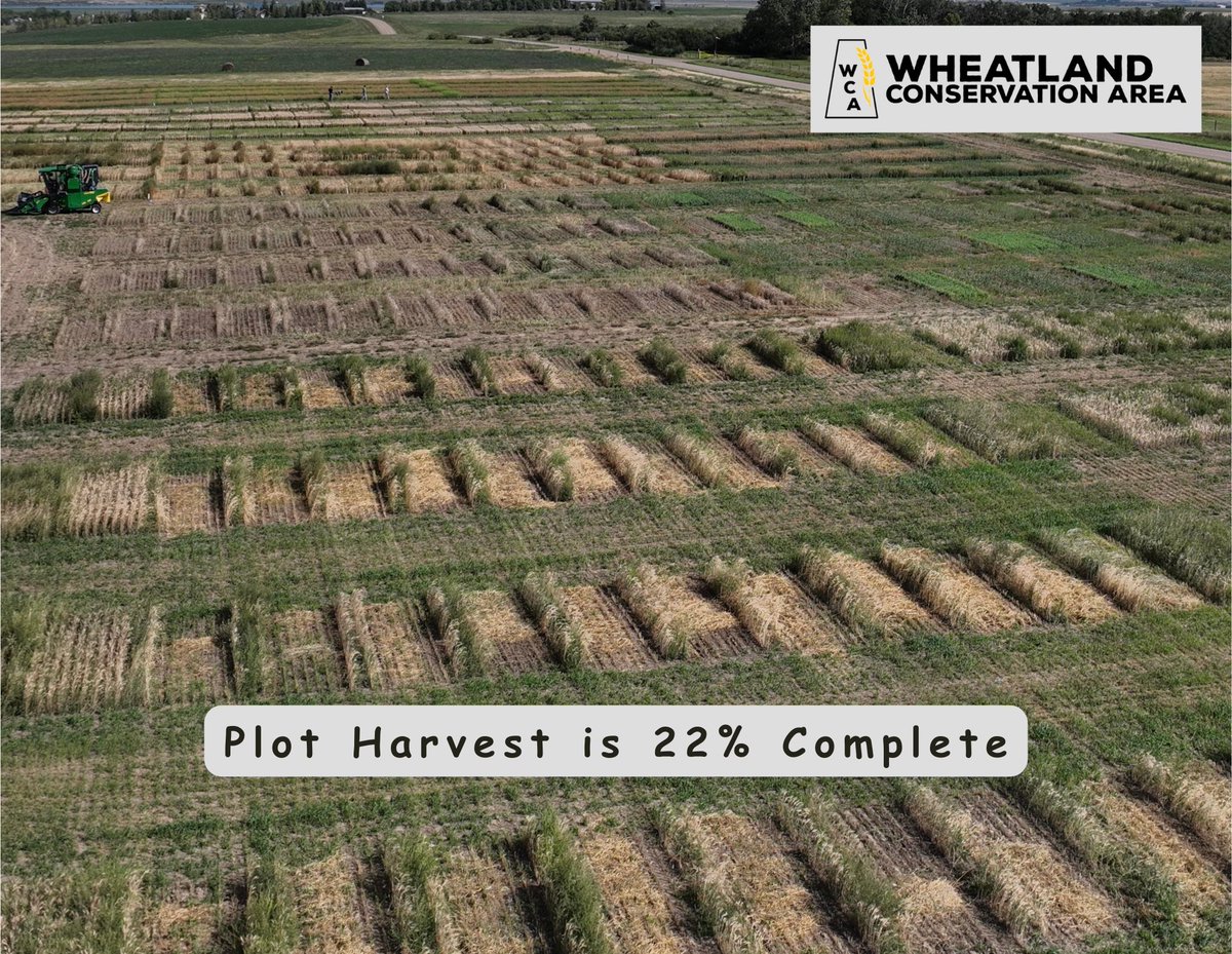 wheatlandsask's tweet photo. https://t.co/vLSBfHbOvz