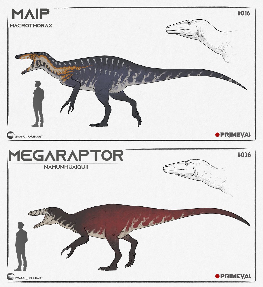 Jurassic_World_Fandom (@brycenator100) on Twitter photo 🥩 The Megaraptoridae Of My Novel Primeval: The Dark Continent So Far
🔺 Size And Number Placement Subject To Change
✍🏻 Commissioned By <a href="/MDinoart/">Manu_Paleoart</a> 🥩 The Megaraptoridae Of My Novel Primeval: The Dark Continent So Far
🔺 Size And Number Placement Subject To Change
✍🏻 Commissioned By <a href="/MDinoart/">Manu_Paleoart</a>