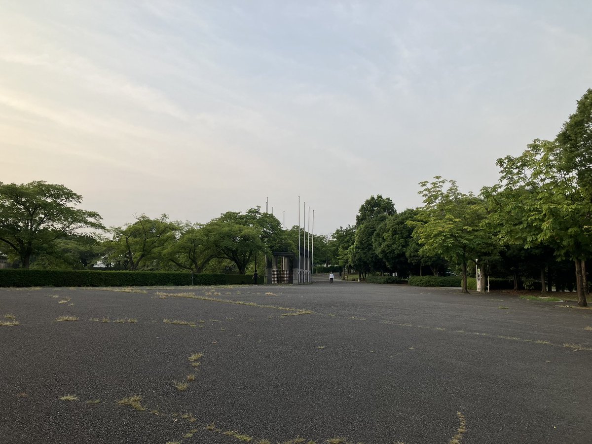 OpenSim_PT's tweet image. 散歩に出て来ました。
まだ涼しいです。
今日はMATLABからopensim回すのやる予定です