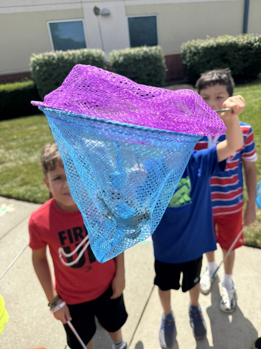 Alyson Fordyce tweet media