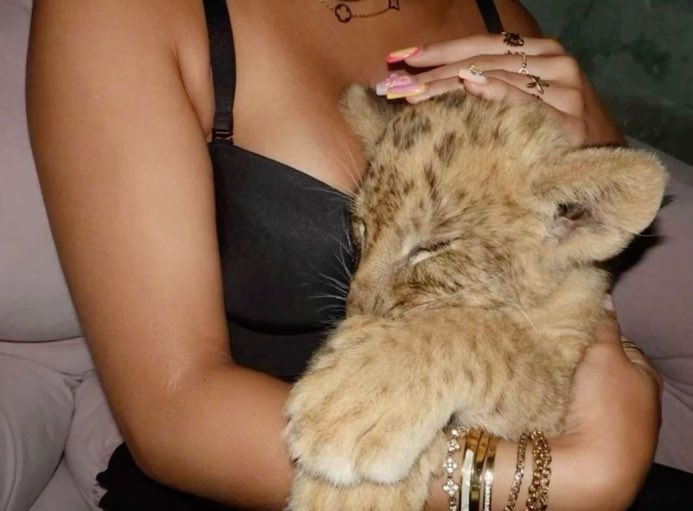 REX (@rexchillect) on Twitter photo 