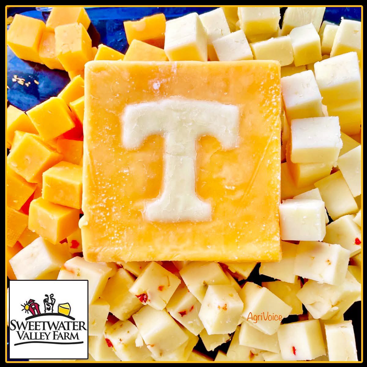 foodsheds's tweet image. It’s #TailgateTime in Tennessee! Time to stock up on that #PowerT Cheddar from @cheese cows wows,  Tennessee cheddar from TN cows!