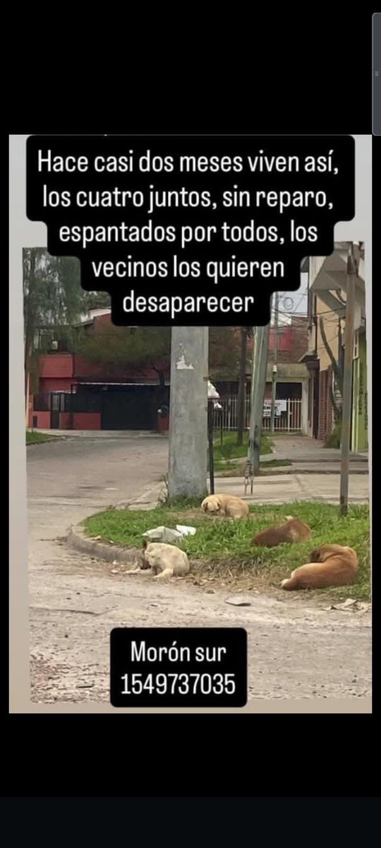 Rt
Difundimos