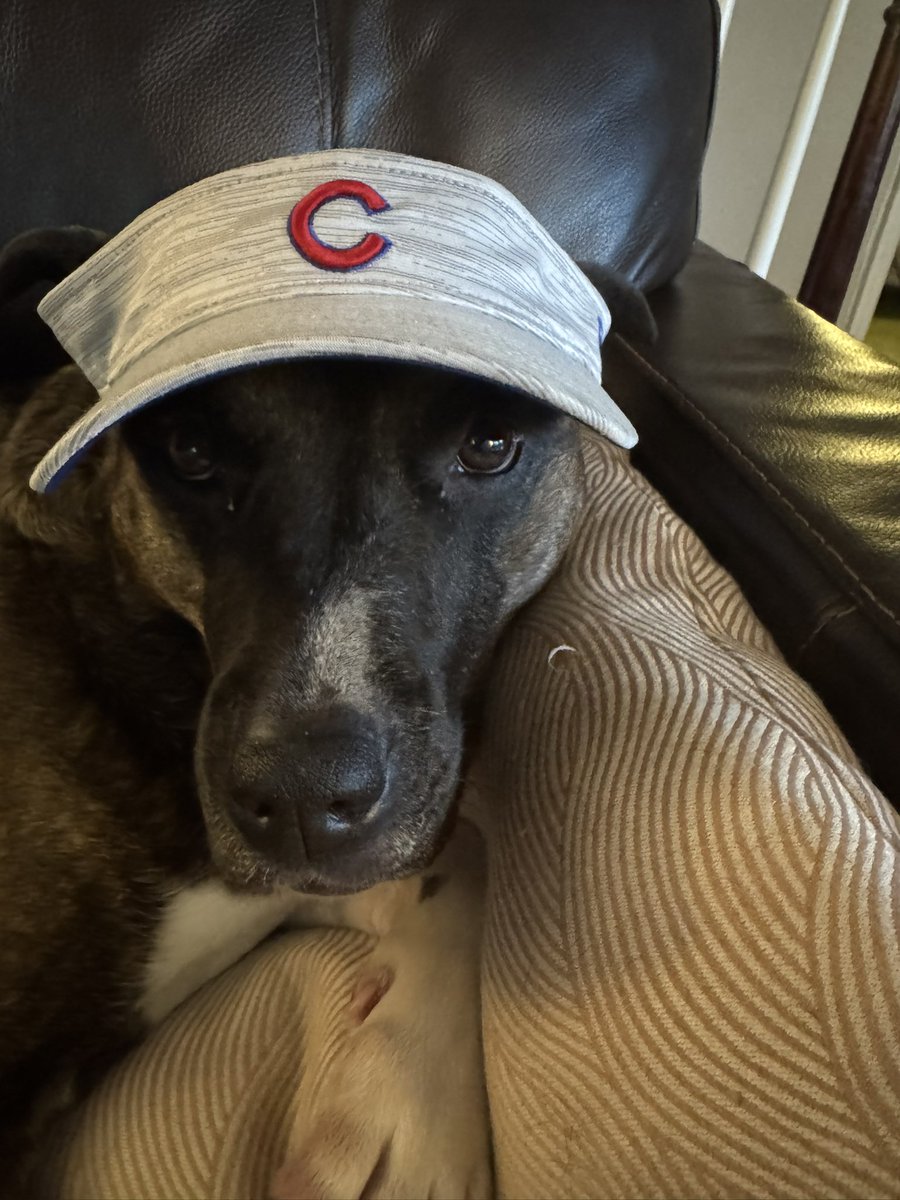 Evening #visorgang let’s get these treats