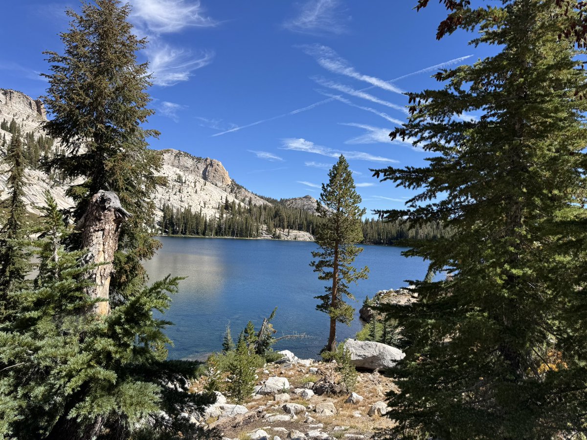 Ray O 'Farrell tweet media