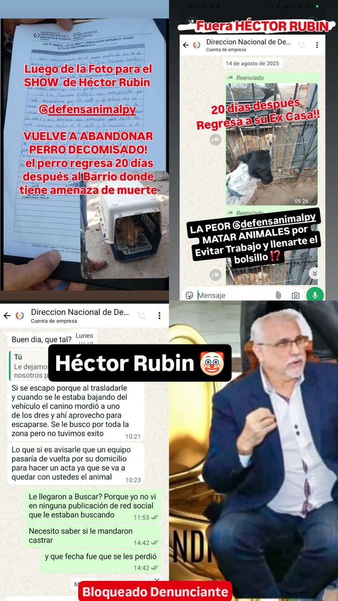 Un perro callejero MUESTRA EL MODUS OPERANDI de <a href="/defensanimalpy/">Dirección Nacional de Defensa Animal</a>  SHOW, DECOMISO Y DE VUELTA A LA CALLE  JAGUA'I ‼️

23/07 Tras presión ciudadana, la Dirección va al Rescate de un perro cuyo dueño falleció y quedó en la calle. Tenía amenaza de eutanasia porque supuestamente