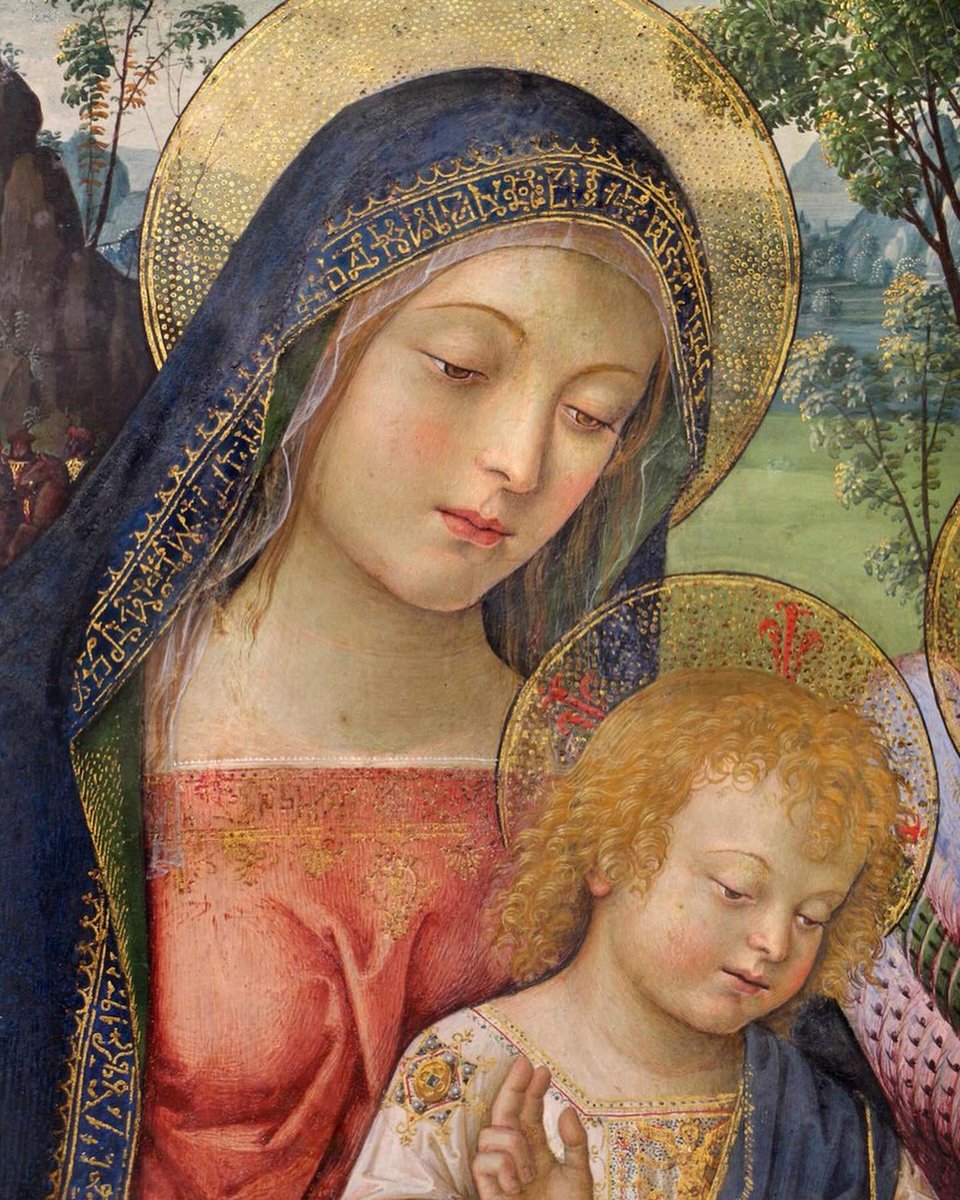 FrDesposito's tweet photo. In all the world there has been only one human person who ever lived the Christ-life without flaw or fault. There has been only one woman upon this earth who, from the first moment of her existence until the last breath of her mortal body, was found to fulfill the will of God perfectly in every respect.