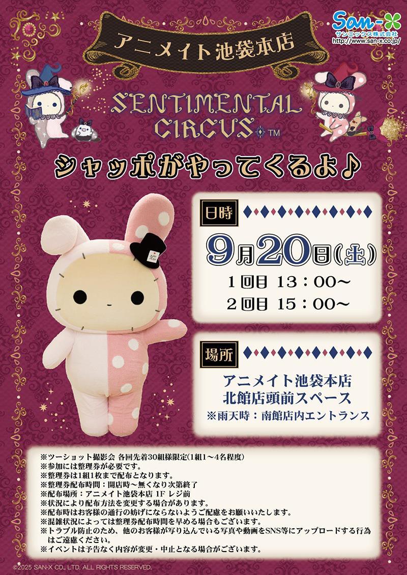 センチメンタルサーカス まとめ売り koyamashouten_lh78501