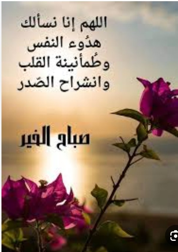 عامر السنيدي (@amiralsenaidi) on Twitter photo 