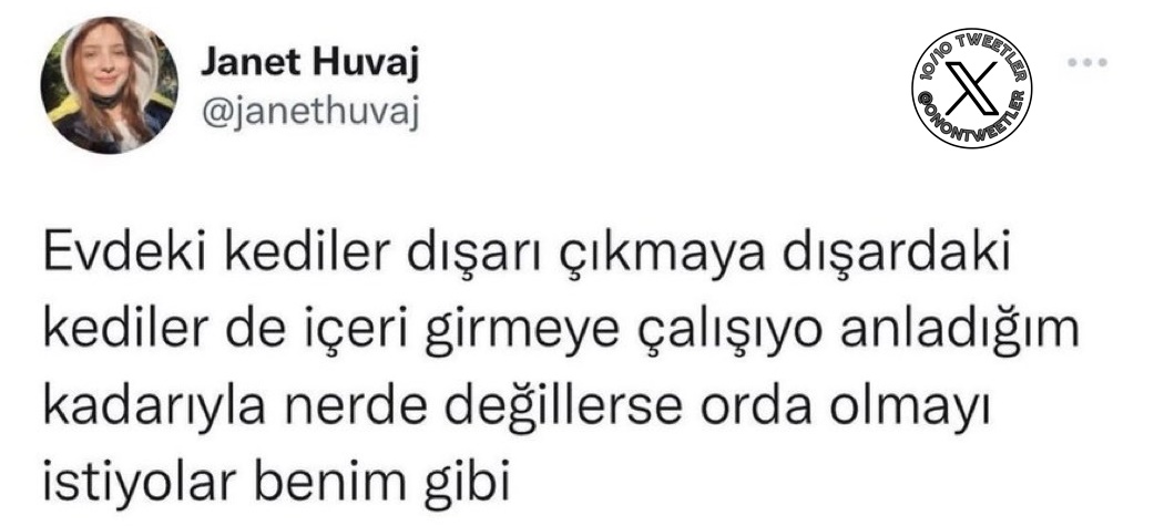 Bagimsiztaraf's tweet photo. https://t.co/H3I0Bd7hIO