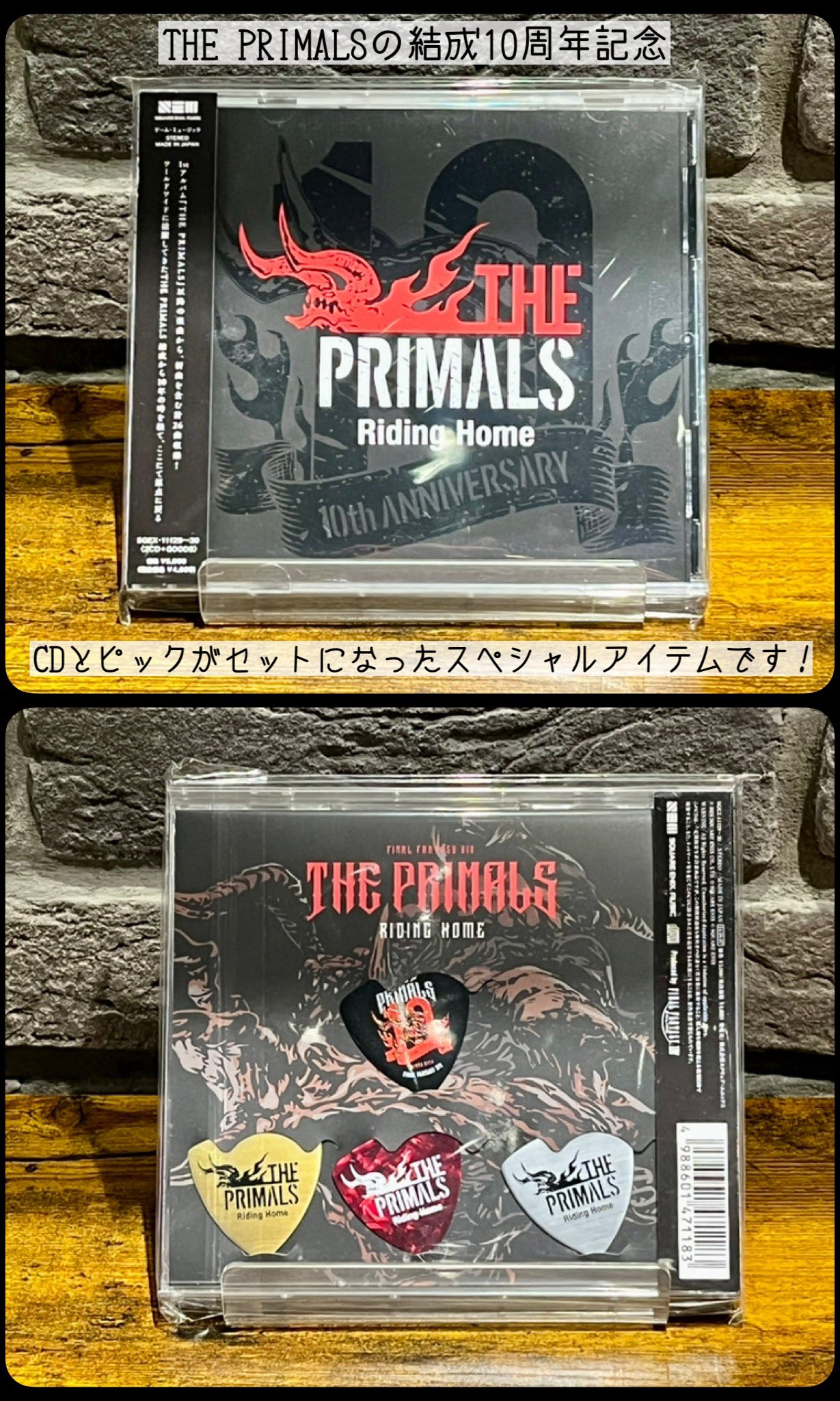 THE SURVIVAL 金テ バラ売り 可 スウィートキラー/RESALE 2023 | deps OFFICIAL HP | デプス 公式HP