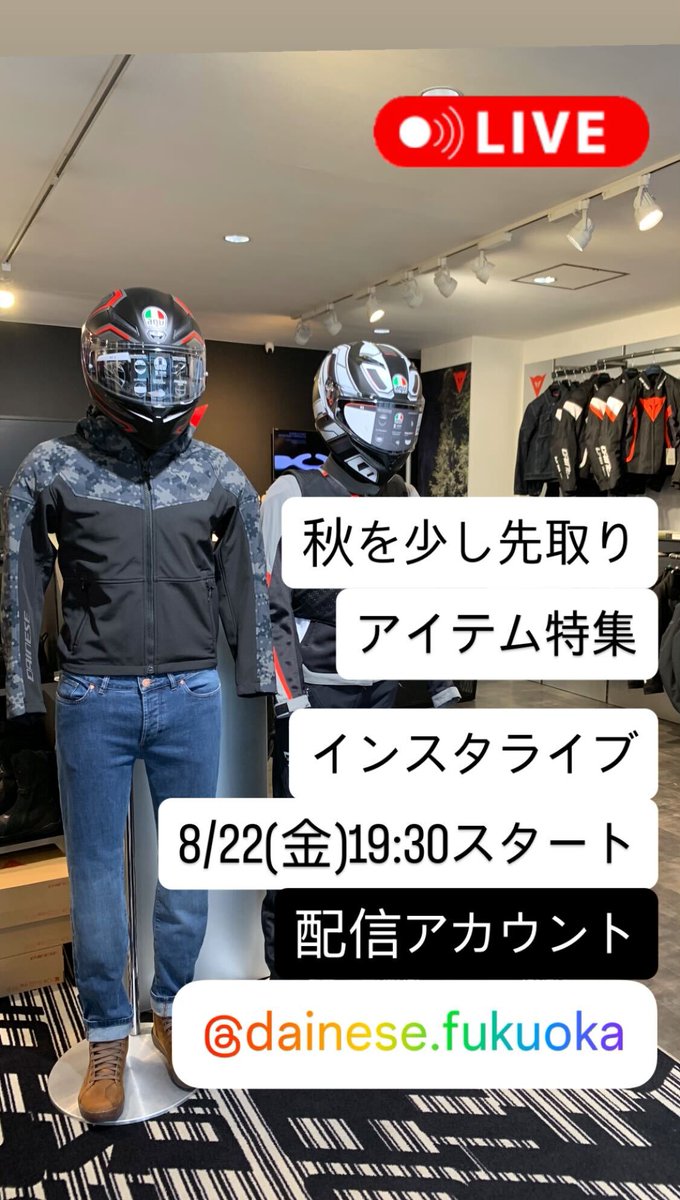 断捨離セール！ダイネーゼプロテクターXL赤 プロテクター - モーターサイクル | ダイネーゼジャパン