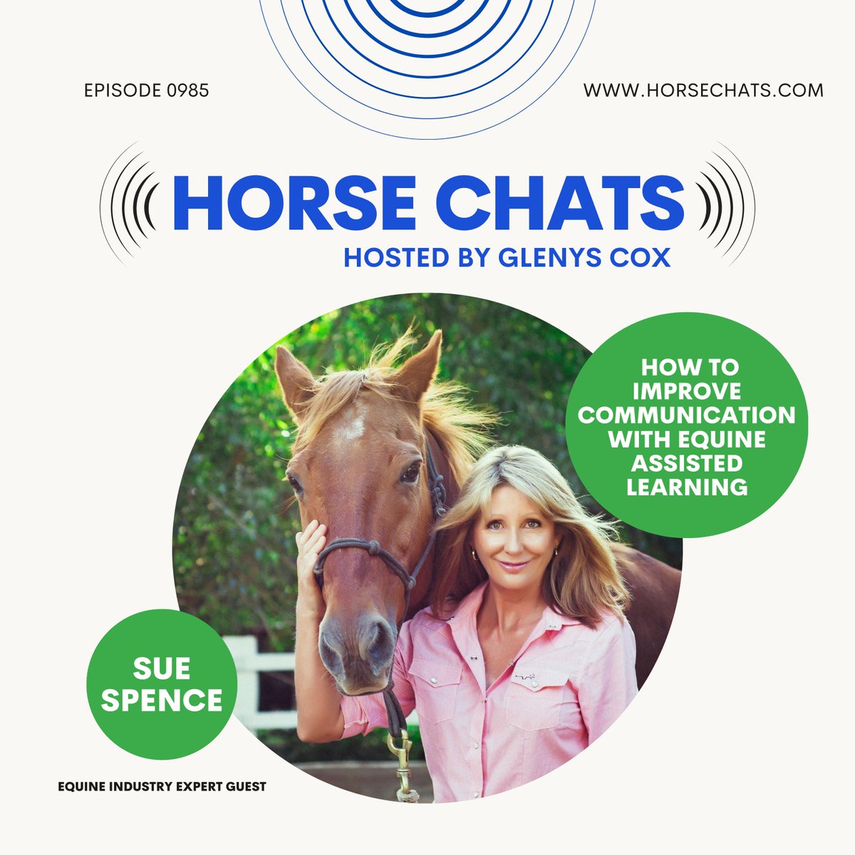 🌿 Horses Helping Humans with Sue Spence 

In this inspiring Horse Chats episode, Glenys Cox interviews Sue Spence, founder of the internationally recognised Horses Helping Humans program. Learn how horses can transform lives. 

Listen now🎧 youtube.com/watch?v=1pJW_H… #HorseChats