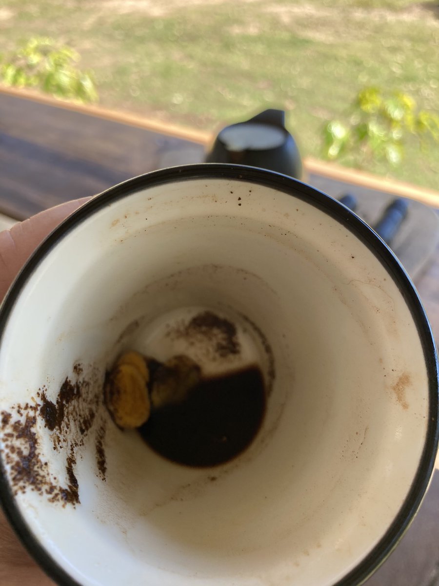 VVeesky's tweet image. Black coffee shot, local honey (zero additives), and sliced fresh tumeric thanks to my confidante.
The best!