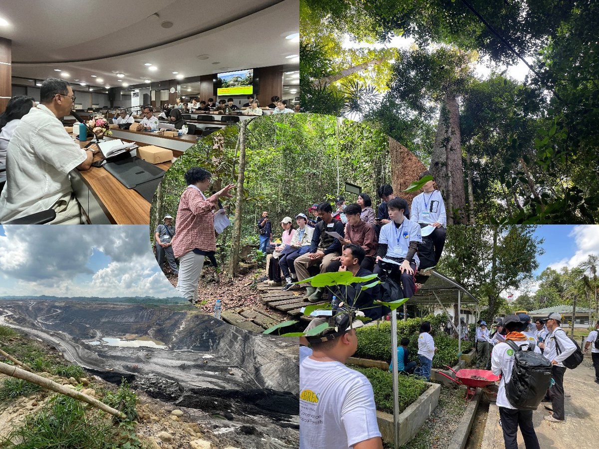 【トピックス】熱帯林保全・修復短期教育プログラムを実施しました
a.u-tokyo.ac.jp/news/news_2025…
#東京大学 #東大農学部 #熱帯林 #保全 #修復 #インドネシア #短期教育プログラム #国際交流 #ムラワルマン大学 #アジア生物資源環境研究センター