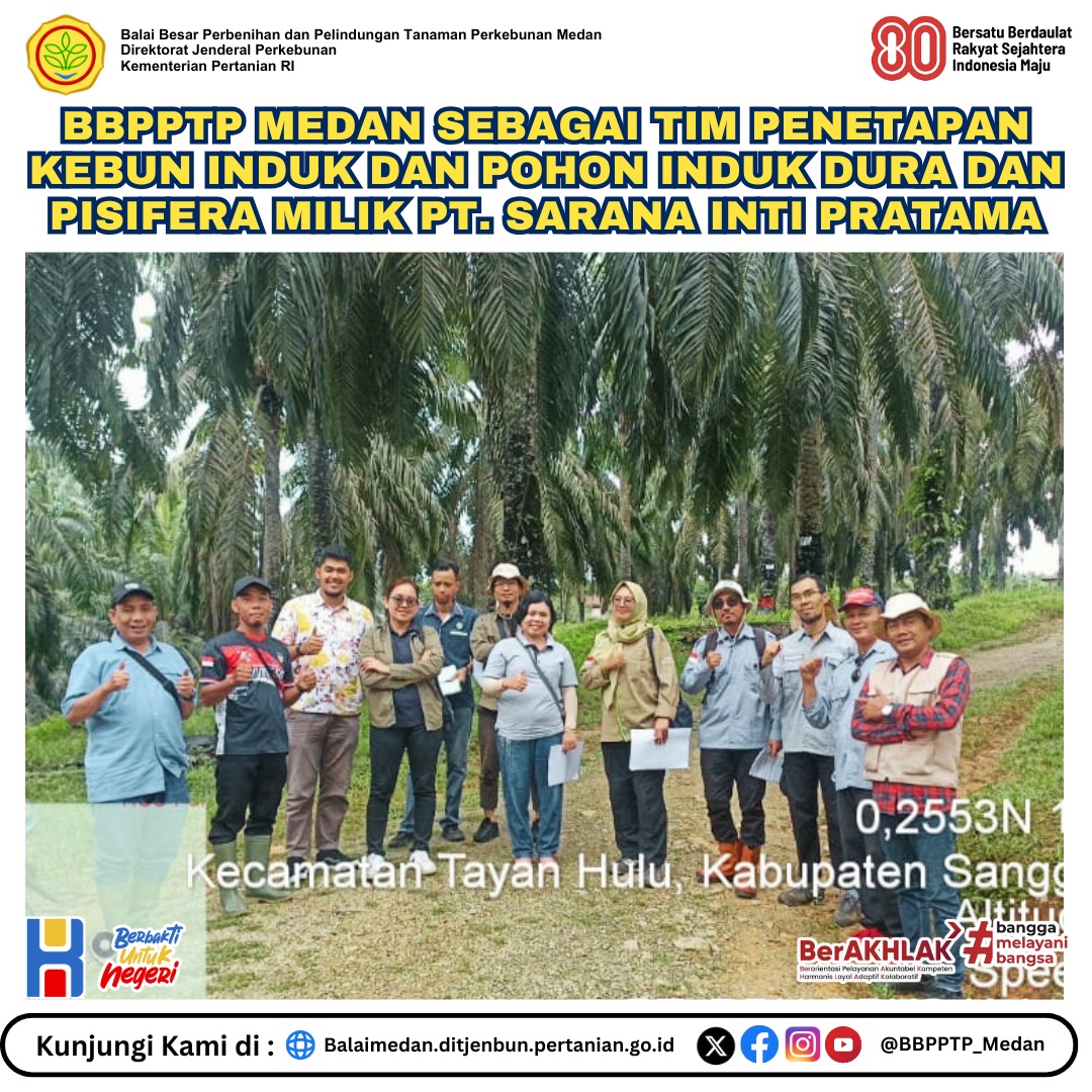 Bbpptp_Medan's tweet photo. Dalam rangka penambahan kebun induk dan pohon induk Dura dan Pisifera, PT.Sarana Inti Pratama (SAIN) menyampaikan usulan kepada Direktur Jenderal Perkebunan untuk menetapkan pohon induk hasil selfing dari kebun induk 
Baca Selengkapnya:
https://t.co/yW4FL1l2Jt https://t.co/vKfSF2j2X0