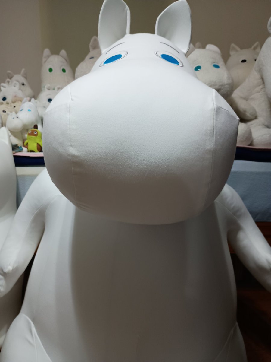 デカ過ぎて、向かい合った時に見おろされるのがたまらない🥰
未だ撫でるだけのヨギボーさん