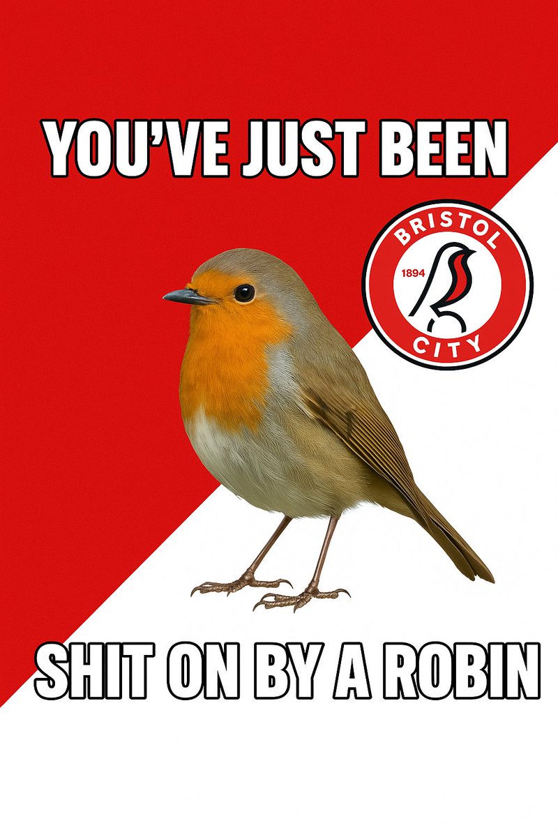 Stephen 🦎🐍 tweet media