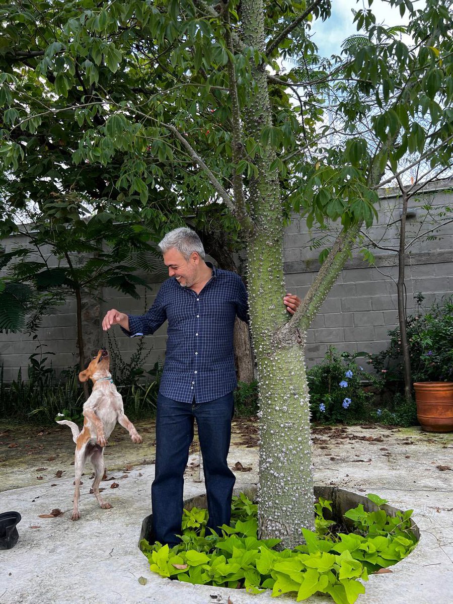 Al plantar árboles, siembras paz y esperanza. Crear un jardín resulta más agradable que admirar el paraíso. 🫶 #4x4inquebrantables #4x4ch1ngones